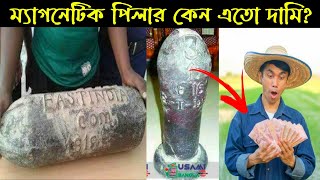 ব্রিটিশদের লাগানো ম্যাগনেটিক পিলার কেন এতো দামি? Magnetic Pillar Price in Bengali, Mayajaal.