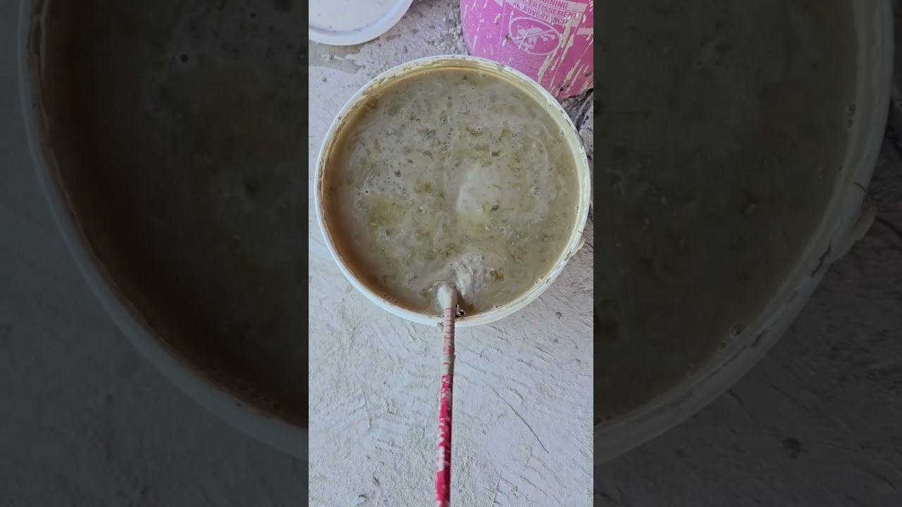 Casting Slip Algae! #shorts #crafts #pottery #ceramic #diy #algae
