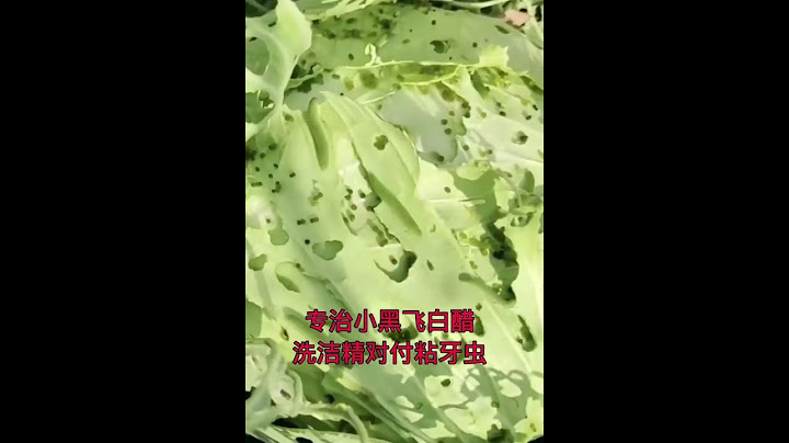千萬不要再用殺蟲劑了，在家裡就可以自己配出殺蟲劑來，科學有機又環保 - 天天要聞