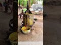 Pressing for Extract: Traditional Oil Making on the Rural Homestead