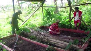 FAITH in SALT (NCIP-IADDA Program)