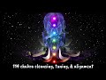 114 CHAKRA CLEANSING, TUNING, & ALIGNMENT * activates QUANTUM SHIFT