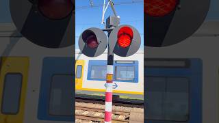 Spoorwegovergang Schagen//komt opeens een SLT voorbij! - The Rail Lens