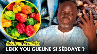 Yane Lekk Nio Gueune Si Période Séddaye Bi - Pr Ousmane Ndiaye - SAMA XALAA TV