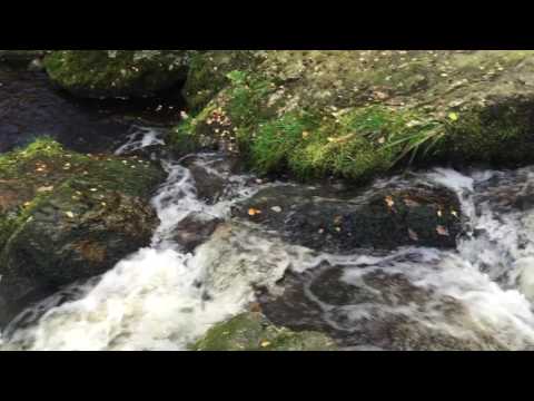 powerscourt-hotel,-wicklow,-ireland---october-12,-2015---(raw-footage)