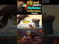 గ్రద్ద నుండి ఖచ్చితంగా నేర్చుకోవాల్సిన 5 జీవిత పాఠాలు | Best Motivational Story #voiceoftruth