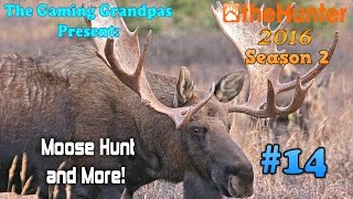 Moose Hunt and More in the Hemmeldal Map!  -  theHunter (2016)
