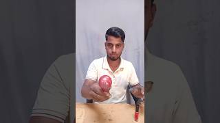 Ads Pro LED Colour Light Hack ✅ Science project class 7th #shorts #experiment #youtubeshorts