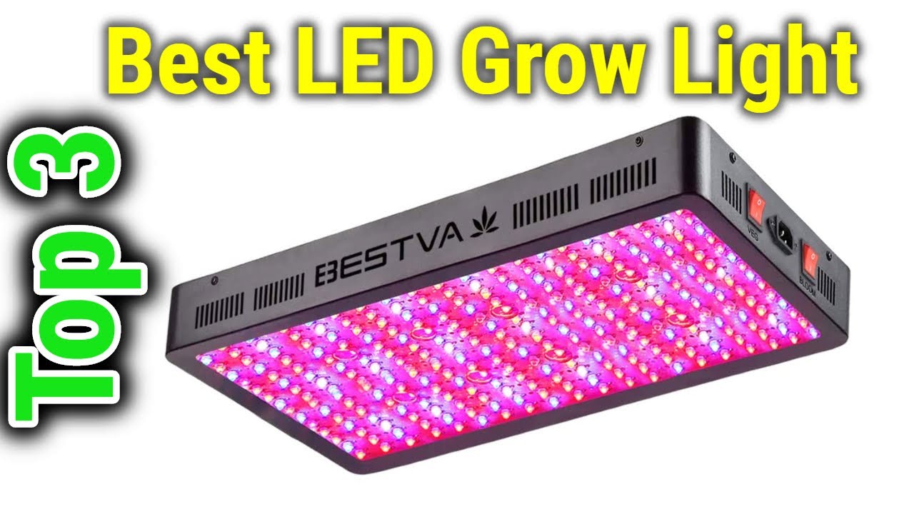 Top 3 Best LED Grow Light 2023 - YouTube