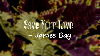 James Bay - Save Your Love (Lyrics)