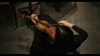 Dark academia classical music for studying and focus