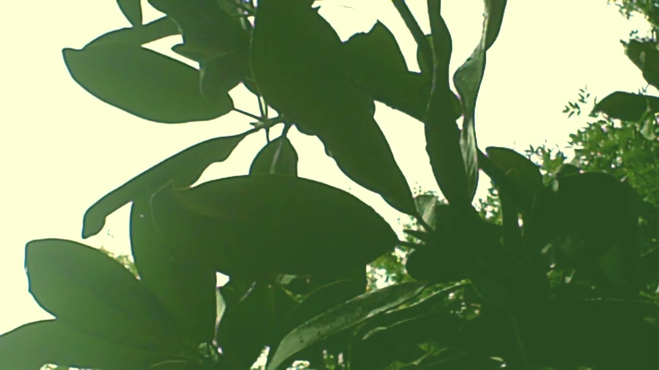 ▲{½hour}Continuous DJ Mix △ Chill Music △EP0104 Ze.rhythmZ▲