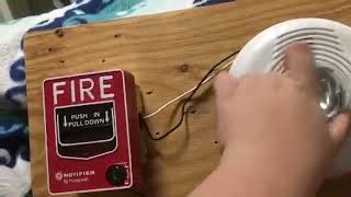 System Sensor PC2W-P