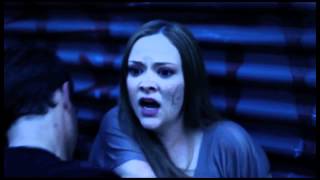 Bloodlines, Richelle Mead - Golden Lily TV Ad