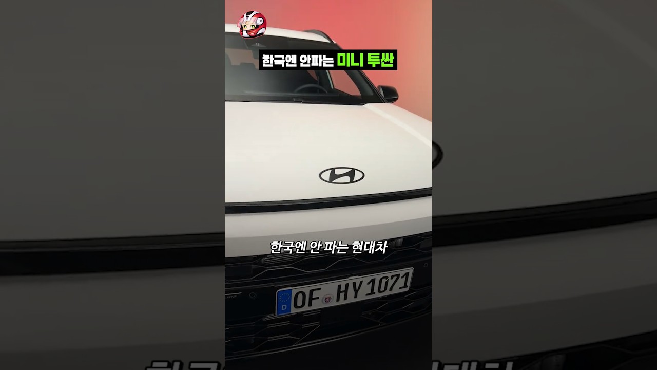 현대의 미니 투싼