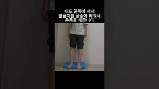 아킬 24주차 재활 서서 하는 전경골근 강화 운동