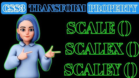 How to use Scale Function | Transform Property