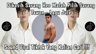 Download Lagu DIKASIH SARANG HEO MALAH MILIH SARANG TAWON - LAGU JULE VIRAL TIKTOK MP3
