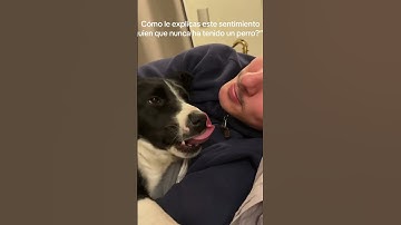 Unconditional love from a dog