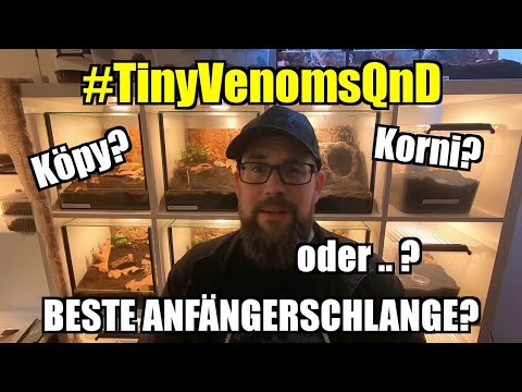 Video: Verhindern Hundezahnkrankheit