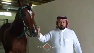 رجل الأعمال ماجد البقمي الذي آمن أن رضا الوالدين هو الطريق الأول للنجاح