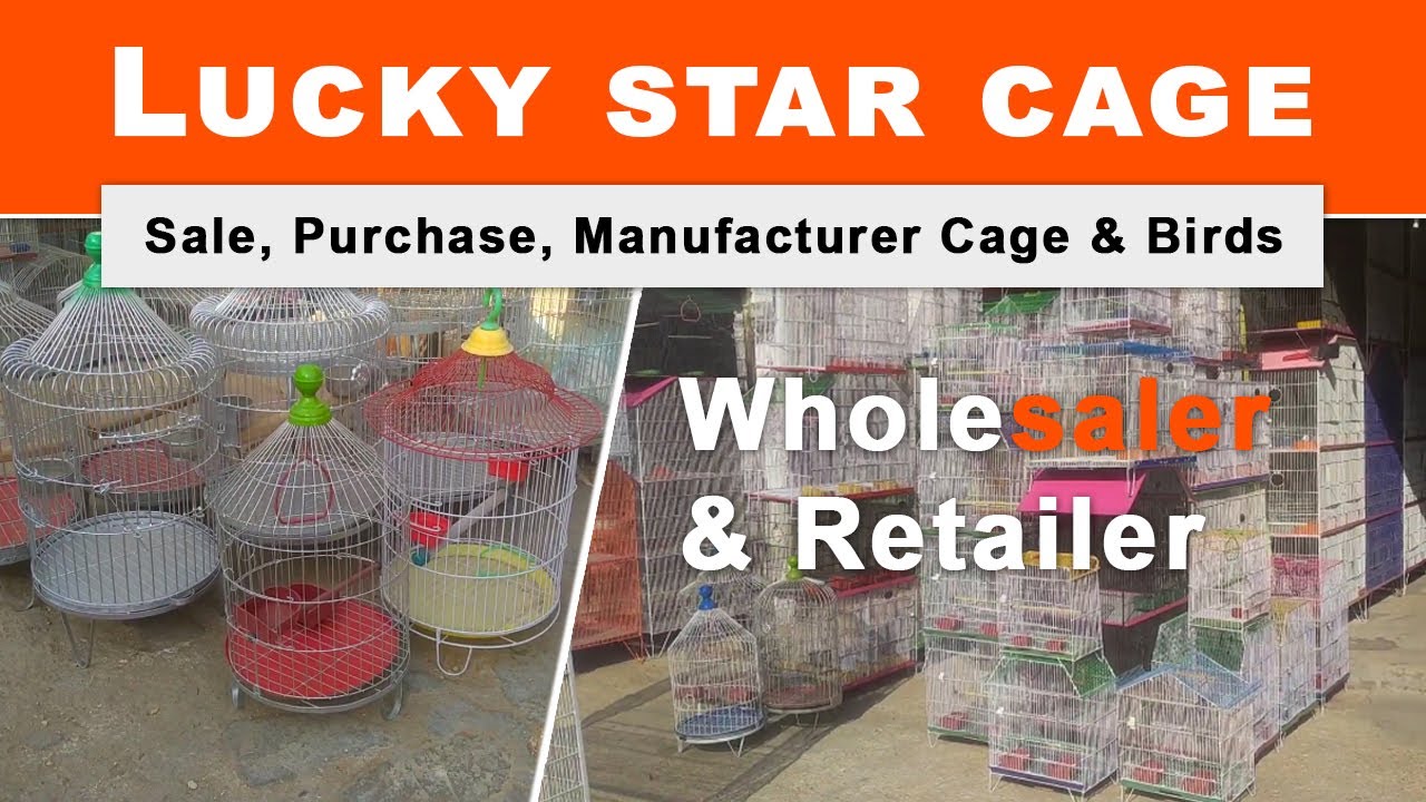 Birds Cage Shop in Karachi New Cages wholesale Top Quality 2023