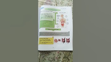 ALLIED SCHOOL SUMMER PACK CLASS 7 2024 SCIENCE ACTIVITY (1,2,3,4,5,6,7,8)#summerpack #homework