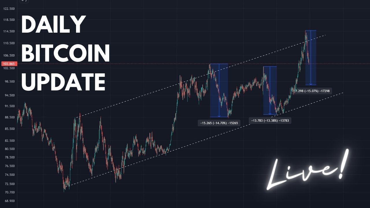 WHY THIS MAY BE THE LARGEST CRYPTO BULL RUN YET [Daily Bitcoin Update ...