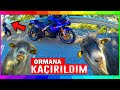 ÖNCE KEÇİLERİ SONRA BENİ KAÇIRDI (GERÇEK) - #GEZİYORUM | MotoVlog #101