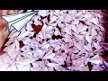СОЗДАЛ И ЗАПУСТИЛ 500 БУМАЖНЫХ САМОЛЁТИКОВ С 9 ЭТАЖА !!!