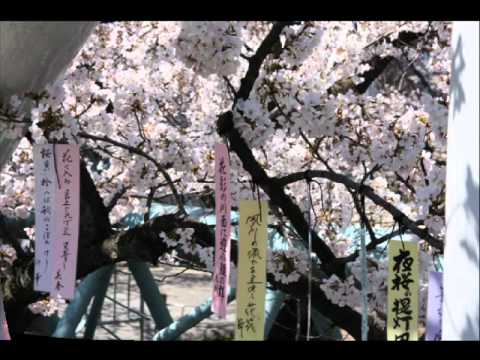 さくら・夙川公園