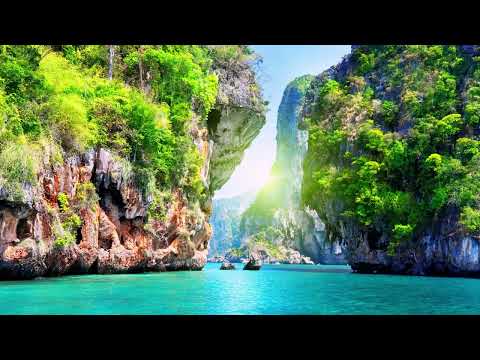 Nea / Sandro Cavazza / Jonas - Don't Deserve This - Animal Elektric Remix