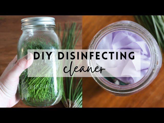 How to Make THE BEST Homemade Cleaner - Hearty Sol