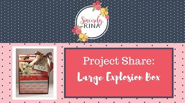 Explosion Box Mini Album - 8 1/4 x 6 inches