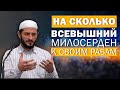 Показатель милосердия Всевышнего