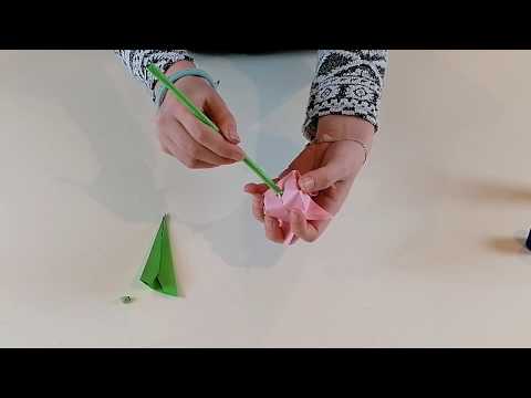 Видео: Как да си направим лале