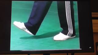 Goulin anti-Cancer walking Qigong explained with Ai podcast