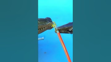 Easy Wire Crimping Trick | Secure Wire Connection Hack |#craftideas #ideas #shorts #wireconnection