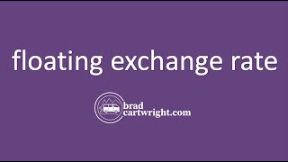 What is a Floating Exchange Rate System?  | IB International Economics | The Global Economy