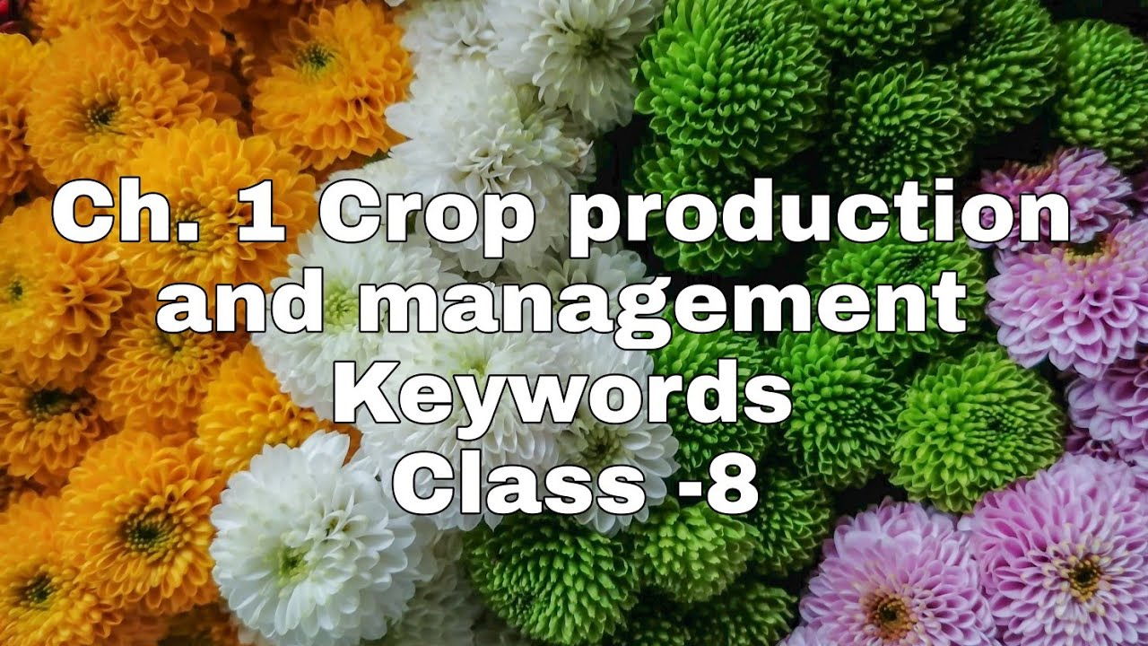Ch. 1 Crop Production And Management (Keywords)