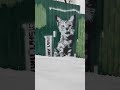 Наглый кот 😼 граффити / арт / graffiti art #shorts