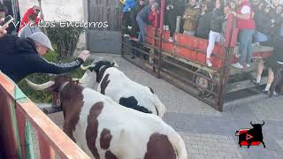 Ambientazo En Illana Minutos Antes Del Encierro De La Nostalgia