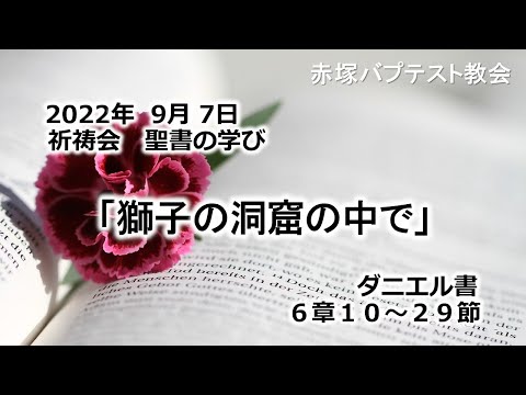 2022年9月 7日(水)赤塚教会祈祷会　聖書の学び「獅子の洞窟の中で」ダニエル書6章10～29節