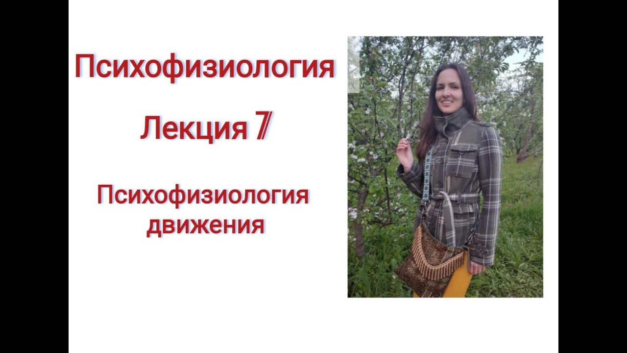 Курс Психофизиология. Лекция 7