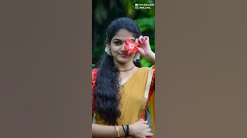 DJ REMIX timli Whatsapp Status New timli Status Gujarati Status ||New Timli kishor patel /2020