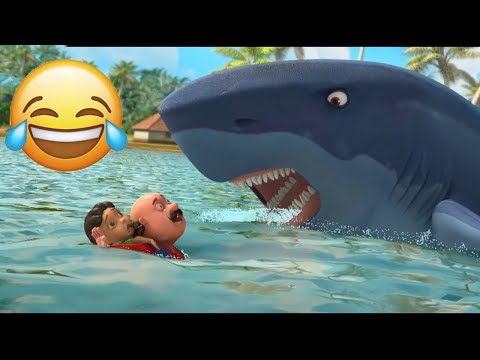 Dolphins In Danger