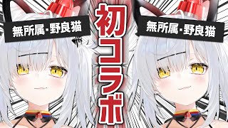【初コラボ】壺おじ2024周チャレンジを猫元パトさんに肩代わりしていただくぞ【猫元パト / #VTuber】