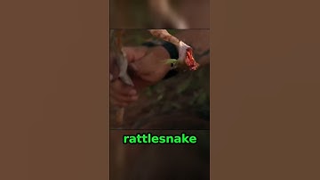 Dirty Water VS Dehydration: Dave & Cody Must Make A Risky Decision | Dual Survival
