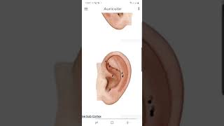 Auricular Software @6100/ For Lifetime screenshot 1