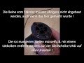 Samsung Fernseher Drehständer Umbau 180° UE40F6470